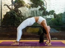 Bloc De Yoga En Bambou Massif - Slanting Plank 60cm X 9cm X 3cm 1 Bloc -Yoga Boutique bloc de yoga en bambou massif slanting plank 16686045986374e2b60e6b8