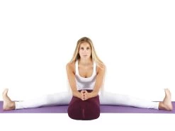 Bolster De Yoga Ovale EPEAUTRE 100 % Coton Bio 60 Cm X15 Cm X 30 Cm Bleu -Yoga Boutique bolster de yoga ovale epeautre 100 coton bio 60 cm x15 cm x 30 cm 1649062926624ab40e08291