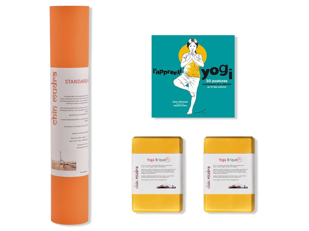 Coffret Kit Yoga Enfants Delphinius 3 Coffret Kit Yoga Enfants Delphinius