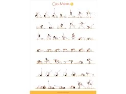 Roue Yoga Tri-Wheel - Prune/Noir L38cm X L13cm X H20cm 11 Roue Yoga Tri-Wheel - Prune/Noir L38cm X L13cm X H20cm -Yoga Boutique roue yoga tri wheel prune noir 169097945564ca4c7f52357