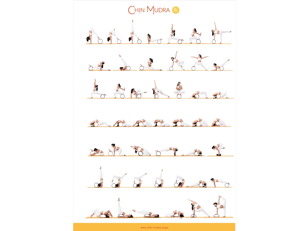 Roue Yoga Tri-Wheel - Prune/Noir L38cm X L13cm X H20cm 7 Roue Yoga Tri-Wheel - Prune/Noir L38cm X L13cm X H20cm – Image 5