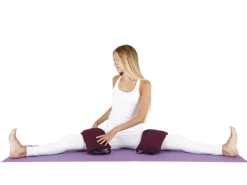 Sac De Sable Sandbag 100% Coton Bio Livré Avec Sable Bleu -Yoga Boutique sac de sable sandbag 100 coton bio livre avec sable 5b8dc90983d69