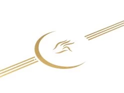 Tapis De Yoga Shiva Moon Blanc 18 Tapis De Yoga Shiva Moon Blanc -Yoga Boutique tapis de yoga shiva moon 169098101564ca529766fc3