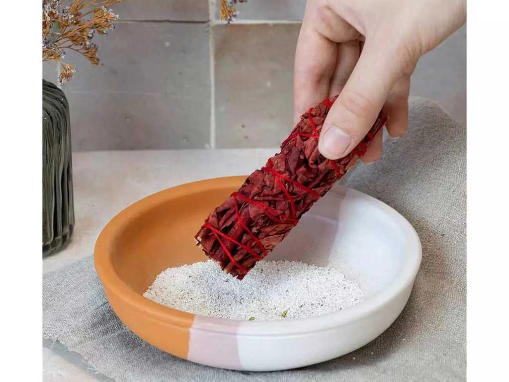 Tresse De Sauge Sang - Dragon 10cm 4 Tresse De Sauge Sang - Dragon 10cm – Image 2