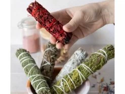 Tresse De Sauge Sang - Dragon 10cm 7 Tresse De Sauge Sang - Dragon 10cm -Yoga Boutique tresse de sauge sang dragon 1700573583655cb18fc9442