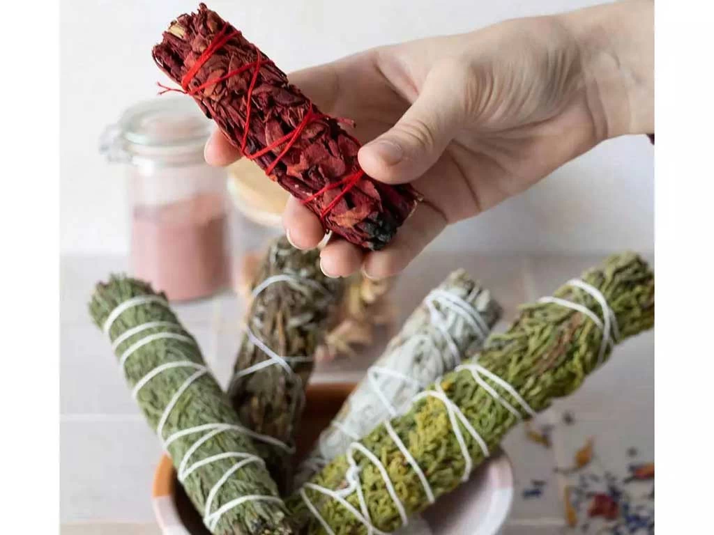 Tresse De Sauge Sang - Dragon 10cm 5 Tresse De Sauge Sang - Dragon 10cm – Image 3